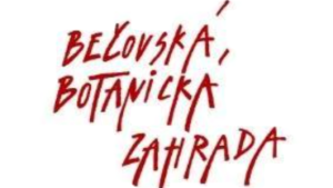 snimek-obrazovky-2025-05-26-102628.png